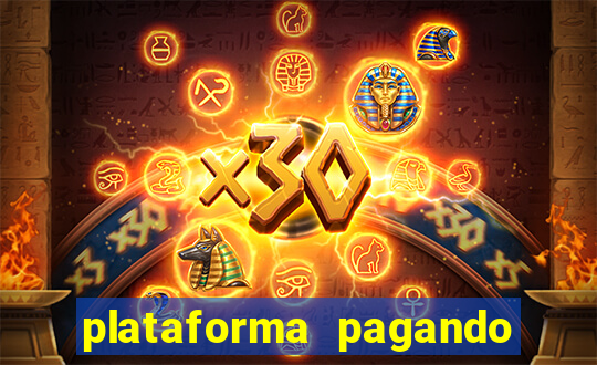 plataforma pagando no cadastro